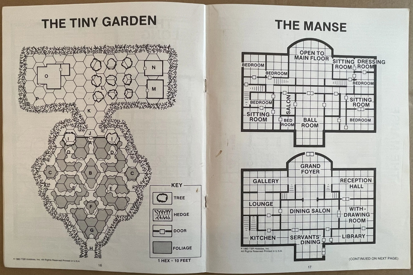 Dungeonland EX1 9072 Advanced Dungeons & Dragons 1e - Lichyard Games