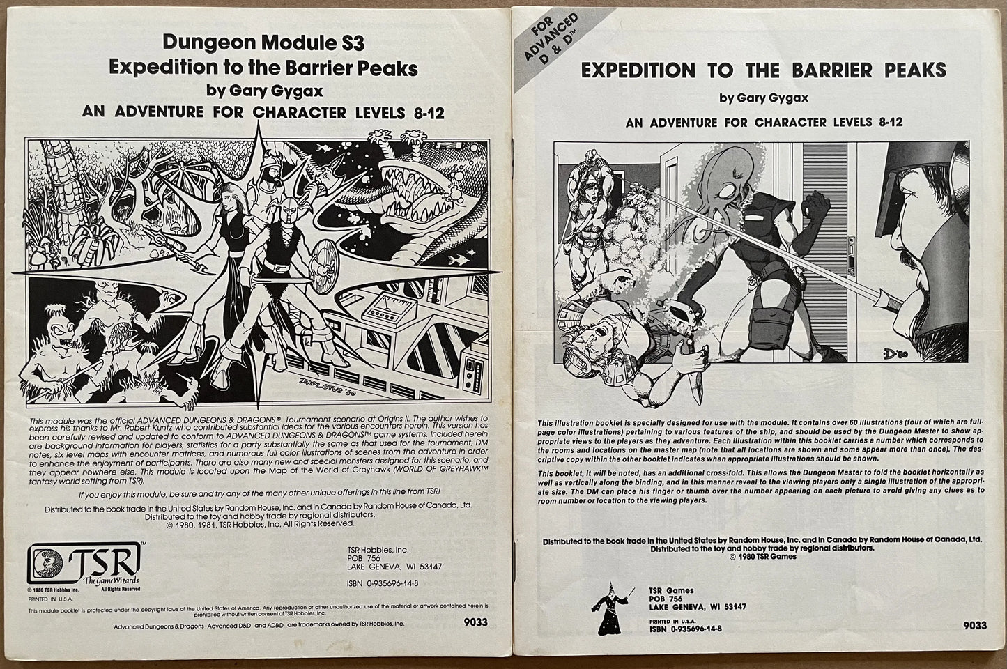 Expedition to the Barrier Peaks S3 9033 AD&D 1e - Lichyard Games