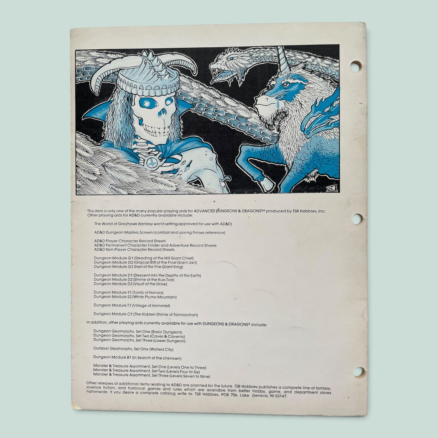 The Rogues Gallery 9031 Advanced Dungeons & Dragons