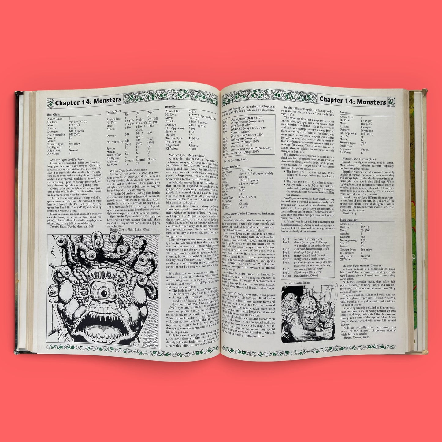 Dungeons & Dragons Rules Cyclopedia 1071