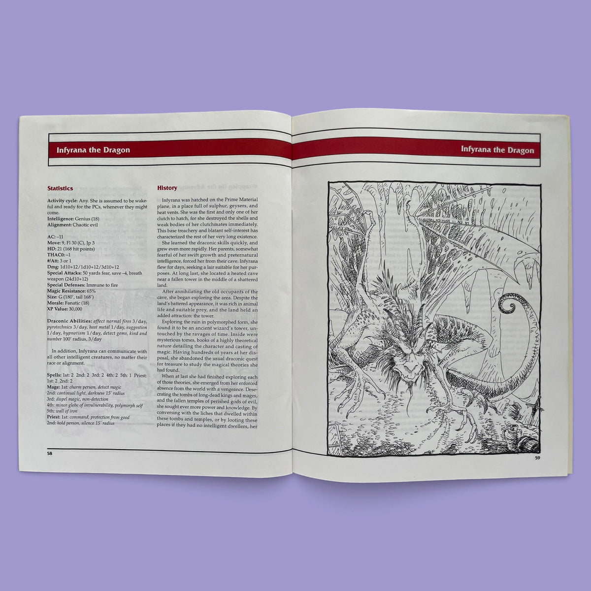 Dragon Mountain Adventure Deluxe Boxed Set AD&D 2e