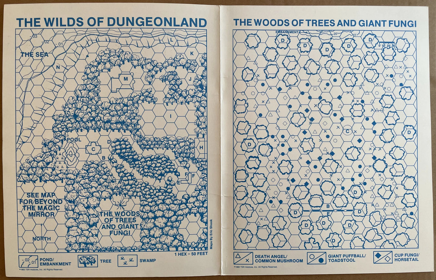 Dungeonland EX1 9072 Advanced Dungeons & Dragons 1e - Lichyard Games