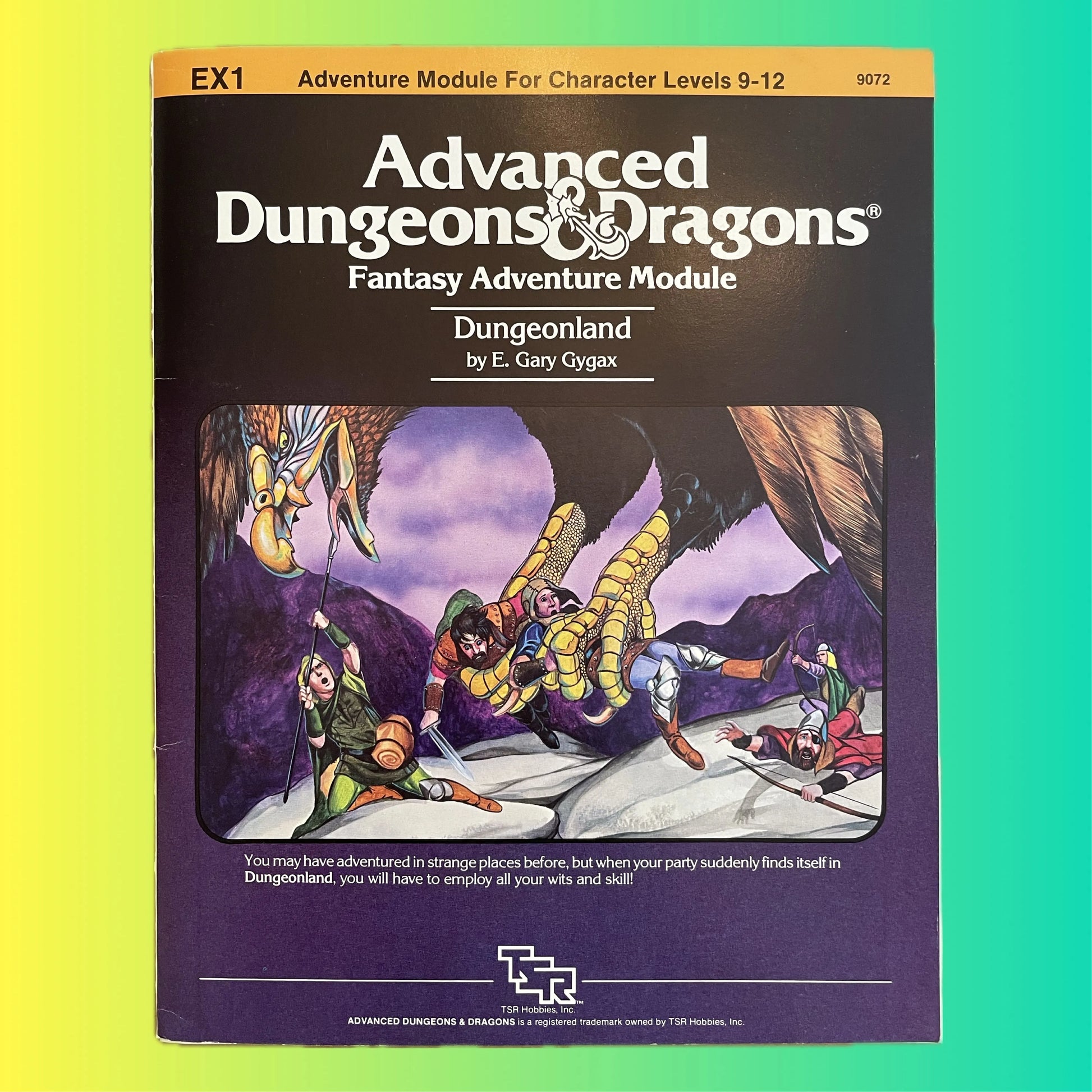 Dungeonland EX1 9072 Advanced Dungeons & Dragons 1e - Lichyard Games