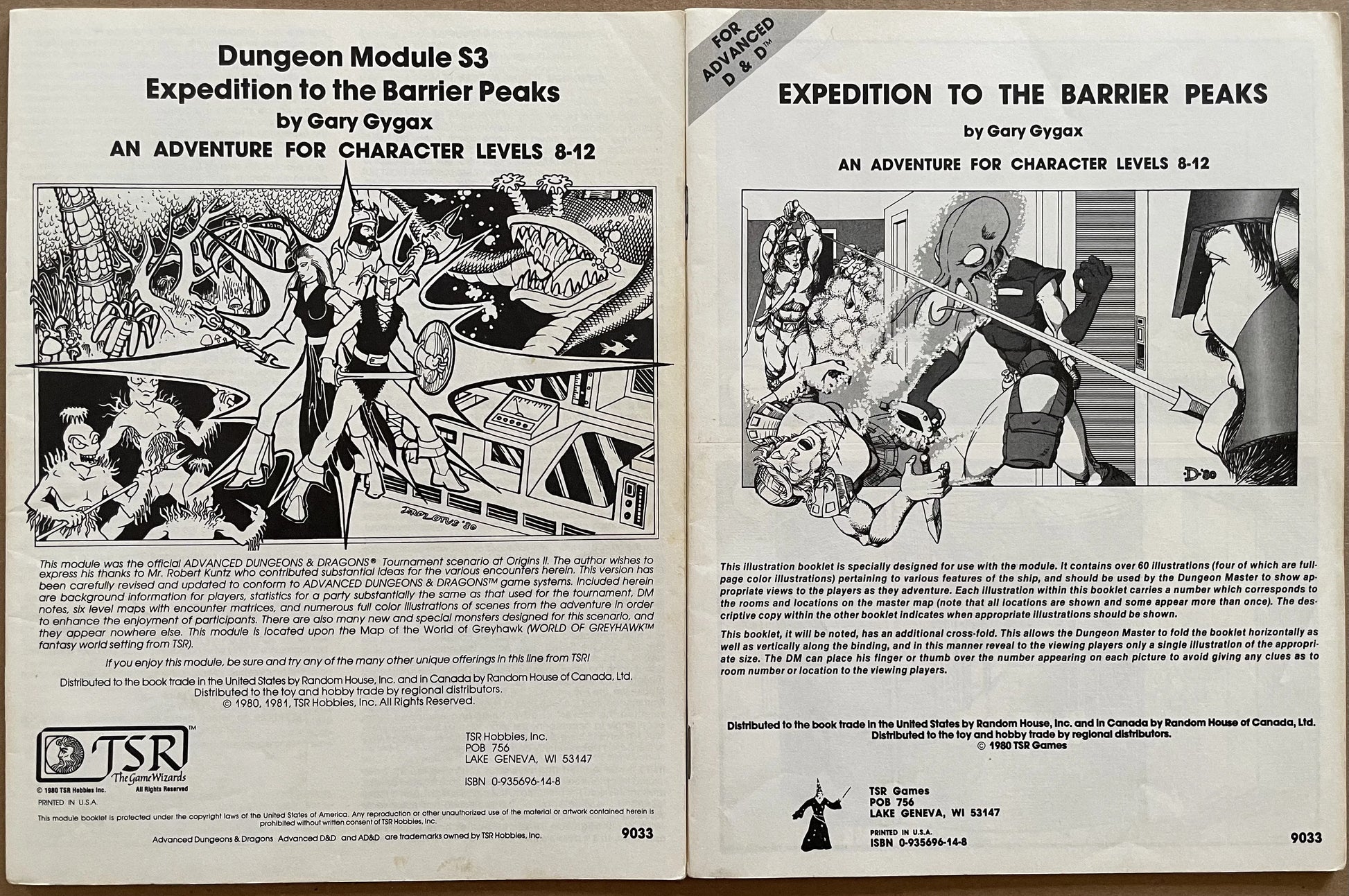 Expedition to the Barrier Peaks S3 9033 AD&D 1e - Lichyard Games