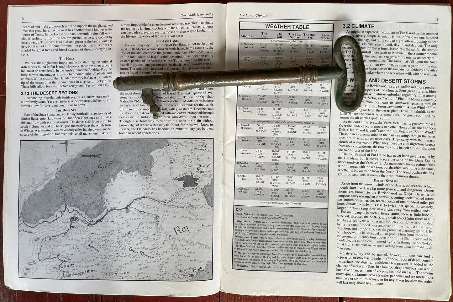 Far Harad The Scorched Land 3800 Middle Earth Roleplaying Game MERP ICE - Lichyard Games