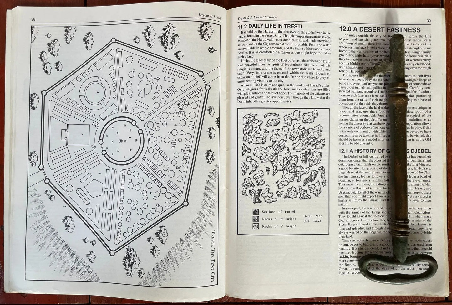 Far Harad The Scorched Land 3800 Middle Earth Roleplaying Game MERP ICE - Lichyard Games