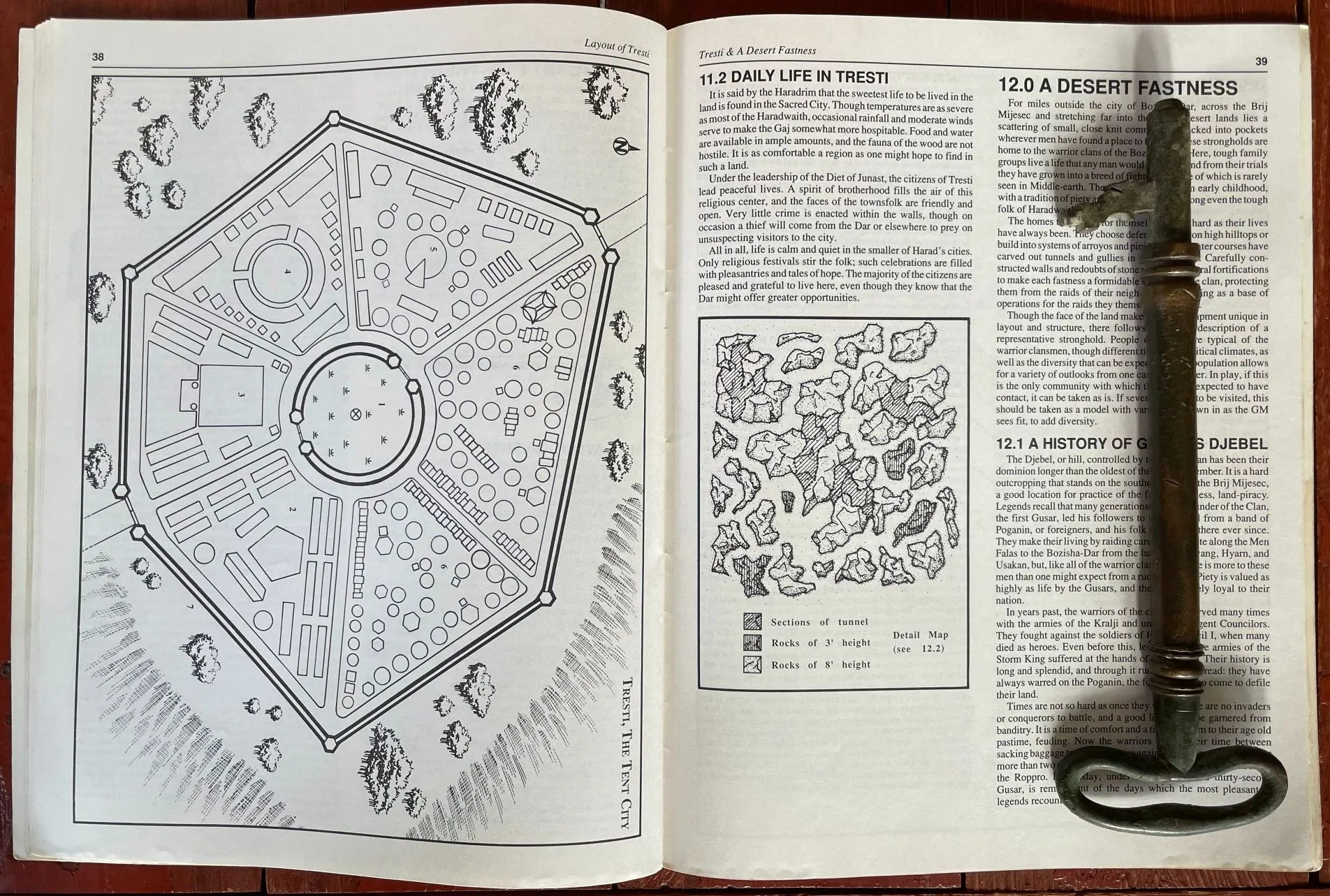 Far Harad The Scorched Land 3800 Middle Earth Roleplaying Game MERP ICE - Lichyard Games