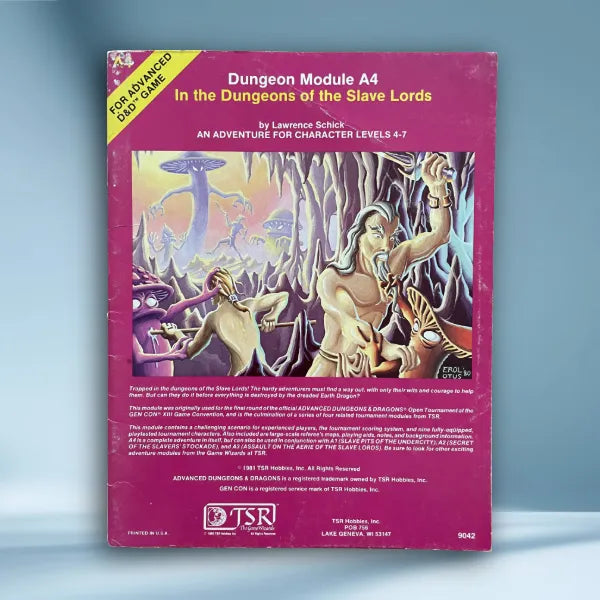 In the Dungeon of the Slave Lords A4 9042 AD&D 1e - Lichyard Games
