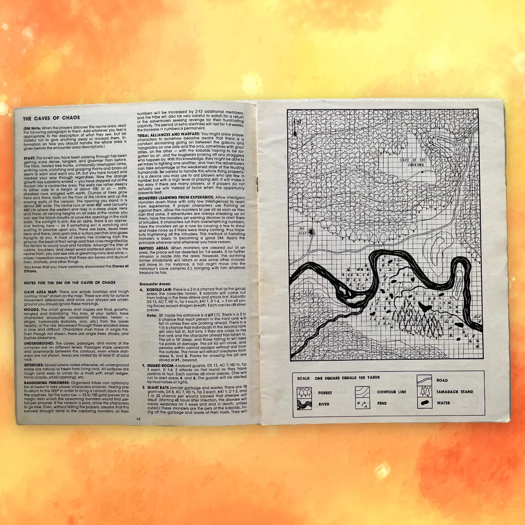 The Keep on the Borderlands B2 9034 Dungeons & Dragons - Lichyard Games