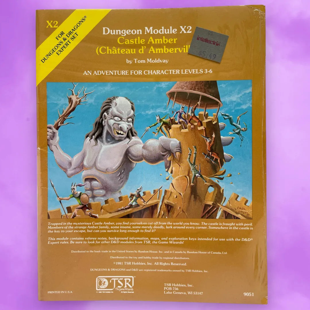 Castle Amber X2 9051 Dungeons & Dragons (Factory Sealed)