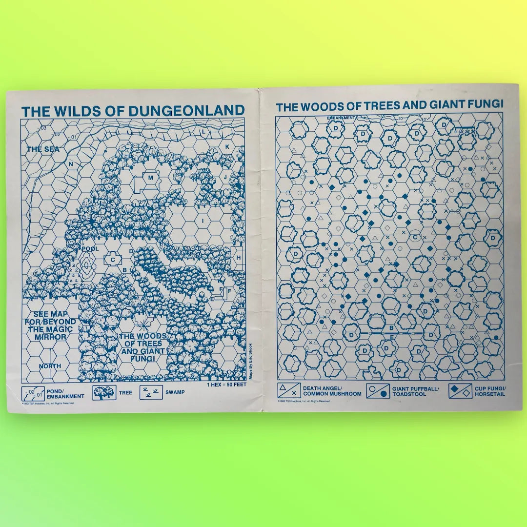 Dungeonland EX1 9072 Advanced Dungeons & Dragons 1e