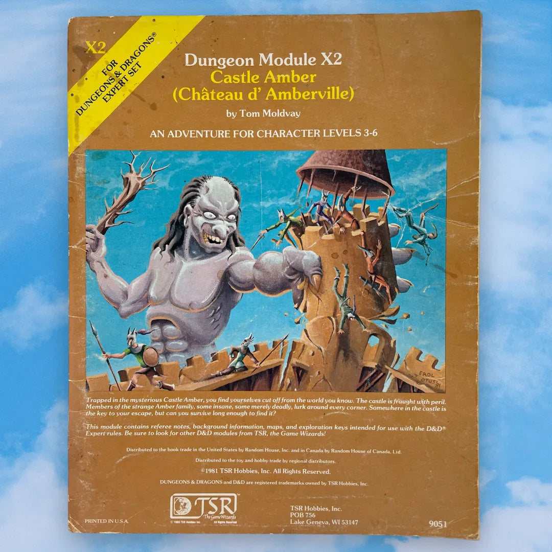 Castle Amber X2 9051 Dungeons & Dragons
