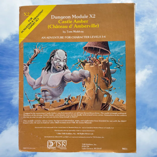 Castle Amber X2 9051 Dungeons & Dragons